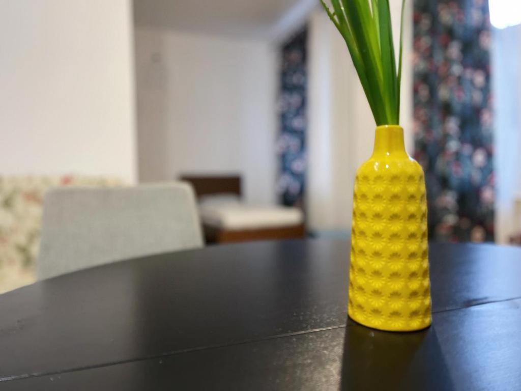 The M O D E R N C I T Y Spot Apartment